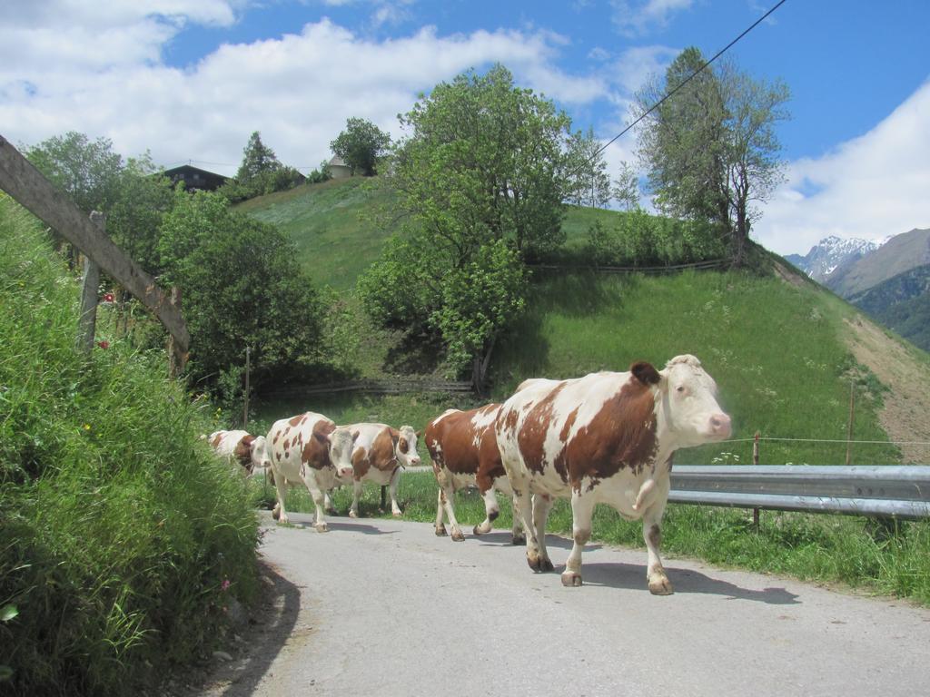 Lampeterhof Matrei in Osttirol Exterior foto